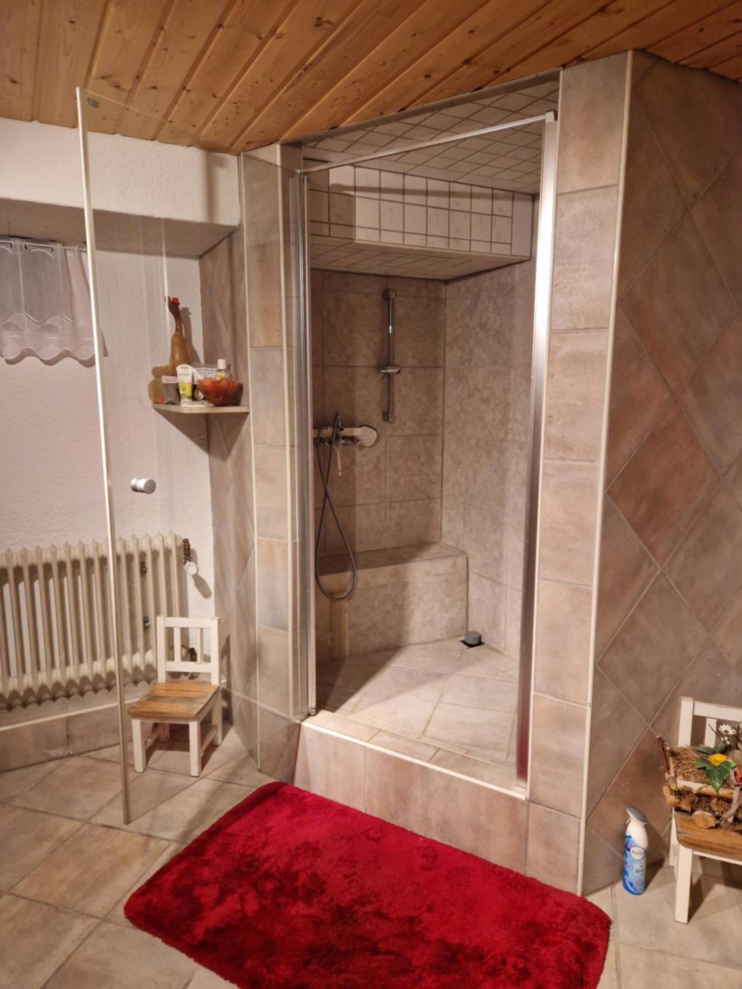 Grosses Gemuetliches Zimmer Mit Eigener Dusche Und Sauna Auf Wunsch Райнштеттен Екстер'єр фото